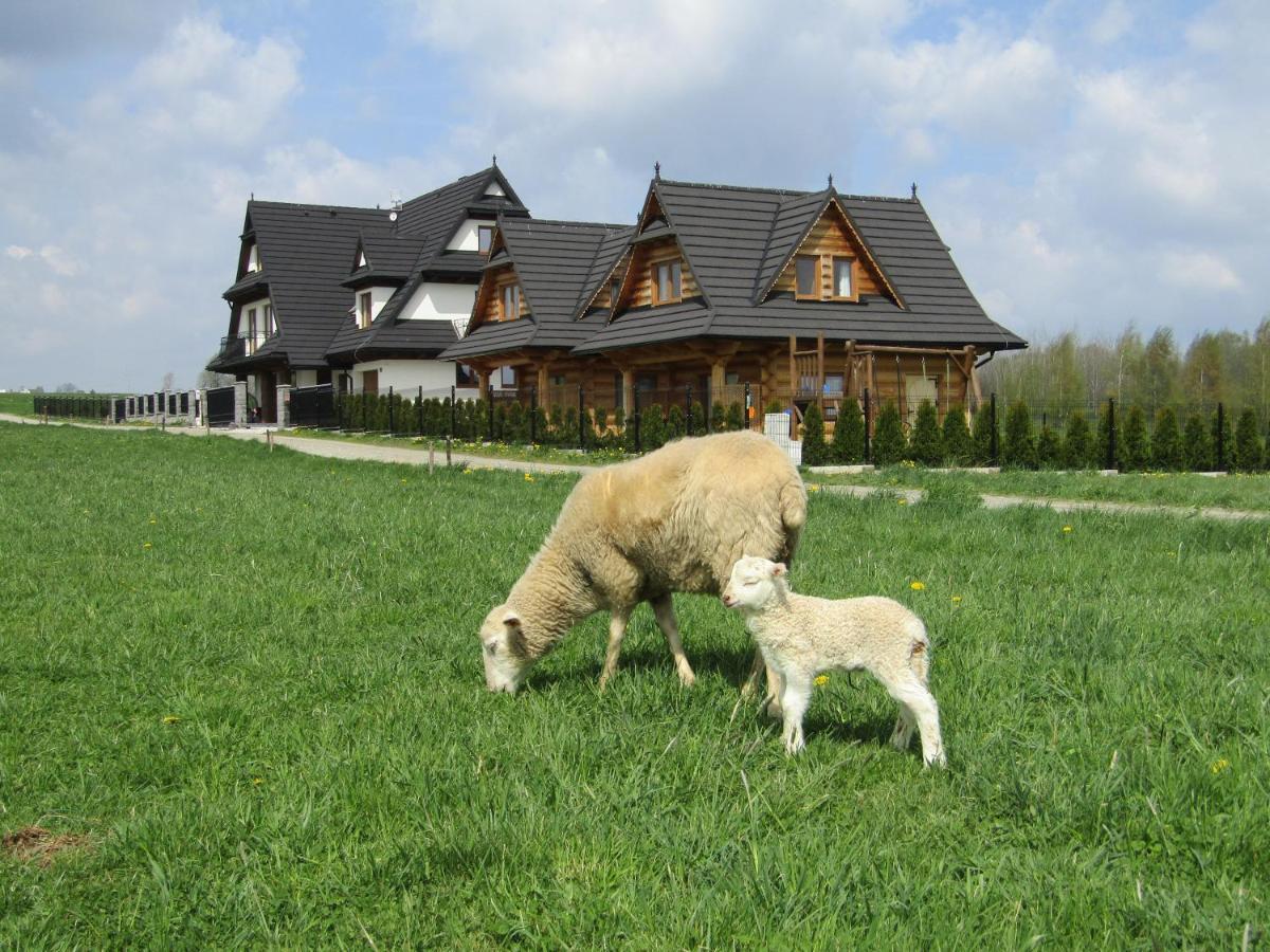 Domki Bialka & Apartamenty Buitenkant foto